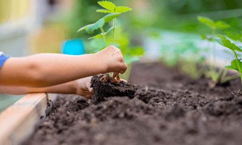 krystal supplying material to fertilizer companies